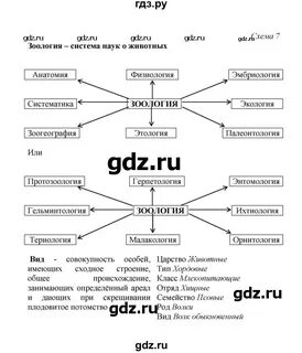 Биология 7 класс бодрова