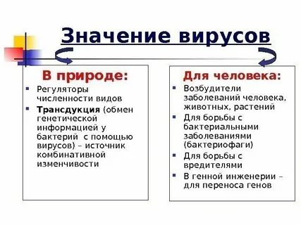 Роль вирусов 5 класс