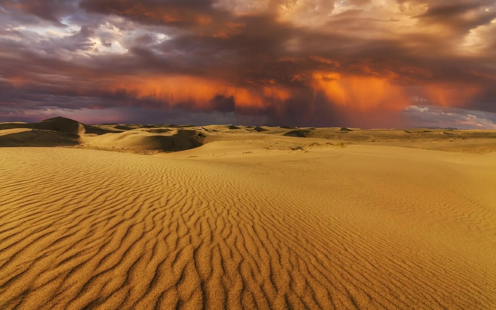Гоби это пустыня. Гоби Тропическая пустыня. Пески пустыни Гоби. Пустыня Гоби Монголия. Природа пустыни Гоби.