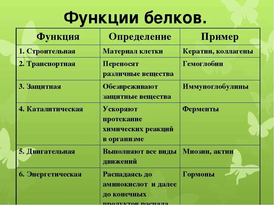 Перечислите функции белков. Функции белков и их описание. Перечислите основные биологические функции белков. Функции белков биология 8 класс.