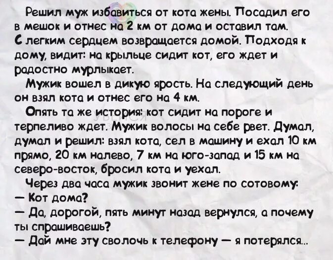 решил мужик избавиться от кота жены. самые ржачные анекдоты для взрослых. роехавшая. анекдот про кота и мужика который заблудился. анекдоты про решала.