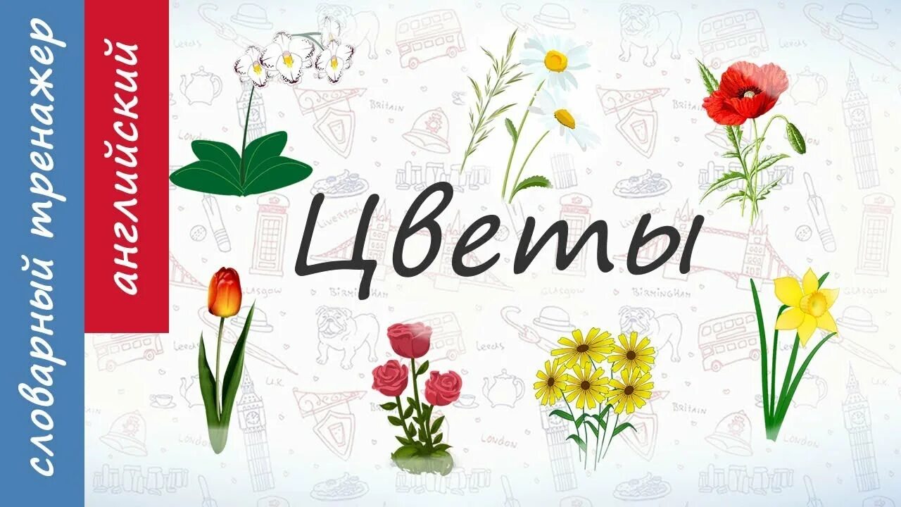 Цветы имена. Цветы имена. Дарите цветы на английском. Цветы на английском языке с переводом. Цветы на английском языке.