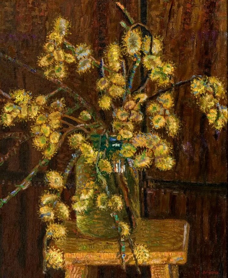 Блонская вербное воскресенье. Верба васнецов. мимоза вербное воскресенье. художник шайкина. верба.