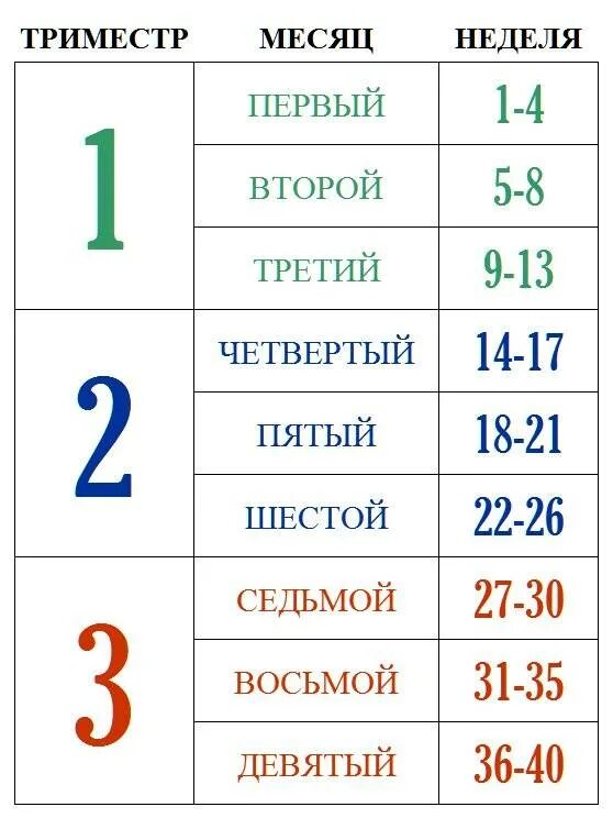 С какой недели начинается 7 месяц
