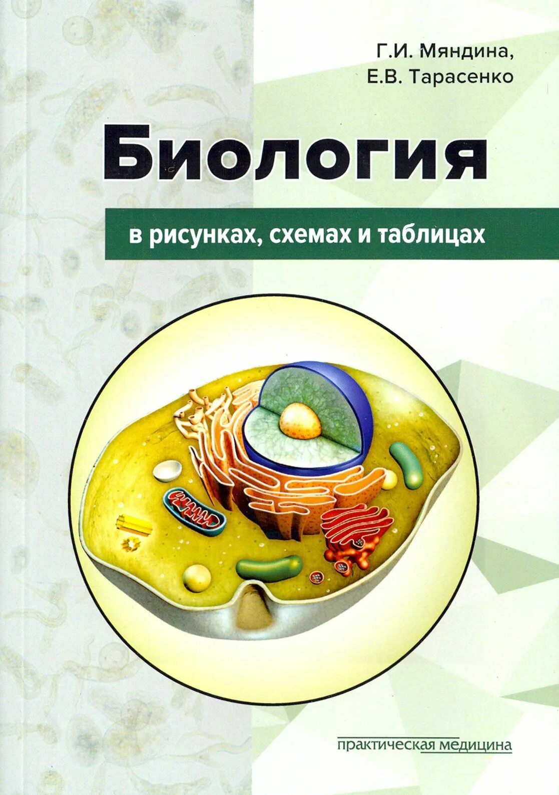 Учебники по биологии 10-11 класс профильный уровень. Биология е. Биология е. Биология е. Биология 9 класс соломина шевырёва.