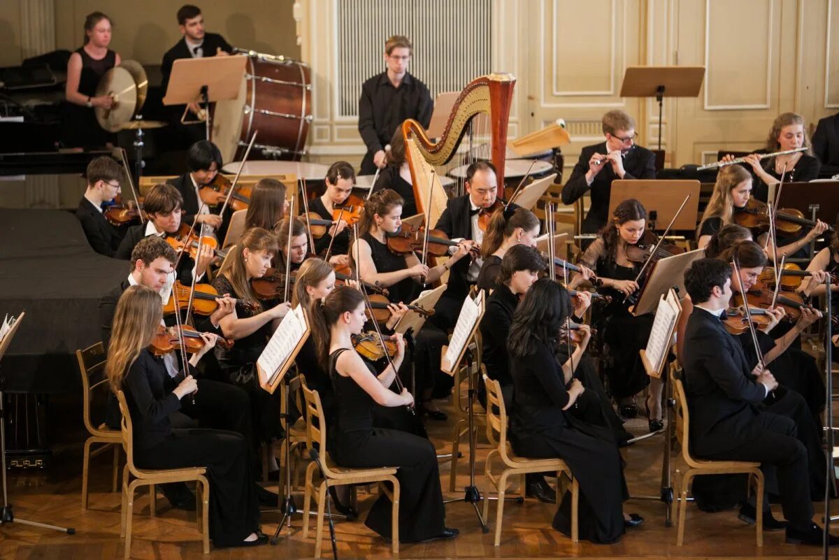 большой симфонический оркестр им чайковского. музыкальные инструменты камерного оркестра. клавишно язычковые инструменты симфонического оркестра. симфонический оркестр перхушково. музыка состав оркестра.