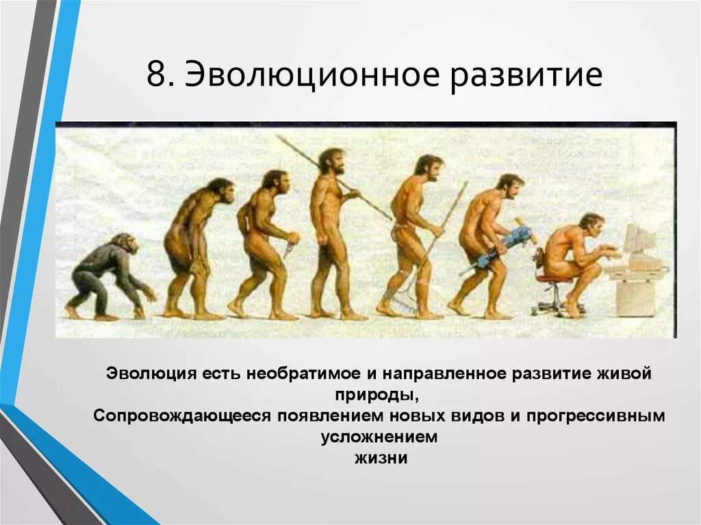 Жизни путем эволюции. Эволюционное развитие. Возникновение эволюции. Закон эволюционного развития. Эволюция развития государства.