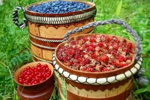 Дикоросы
