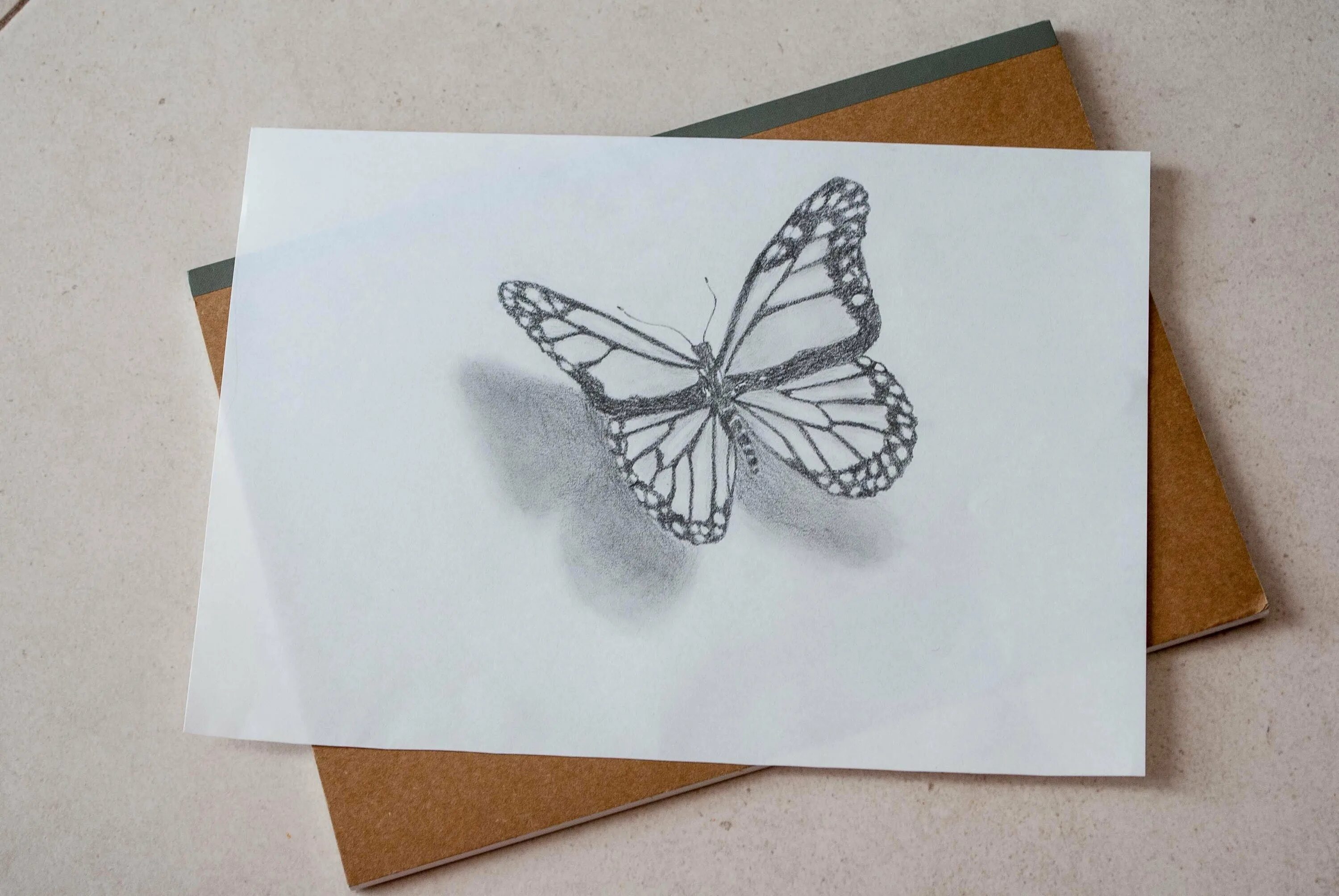 Рисовать на листе бумаги карандашом. Рисование бабочки. Объемные рисунки. Бабочка карандашом. Необычные рисунки карандашом.