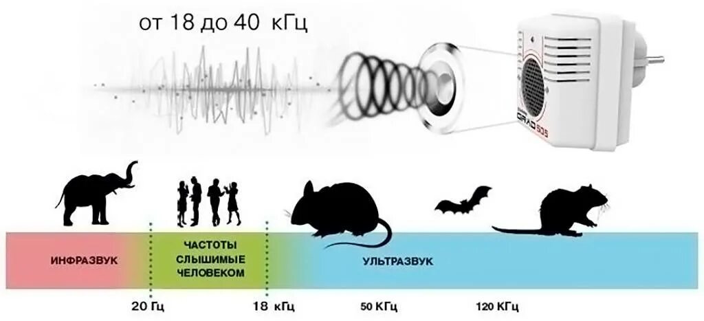 Частота звука мыши