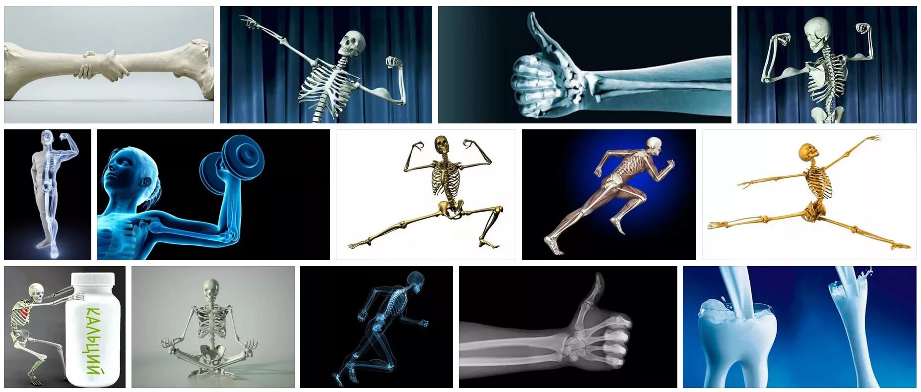 Какие кости самые крепкие. Укрепление костей. Здоровье костей. Крепкие кости. Кальций скелет.