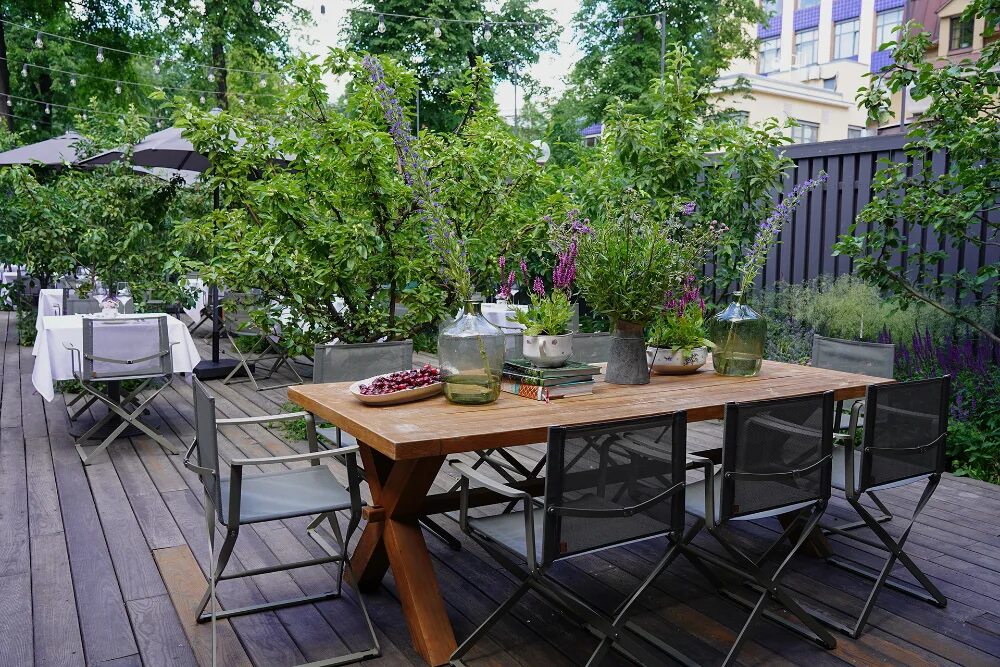 Оранжерея таврического сада в санкт-петербурге. Ресторан сад на чкаловской. Ресторан сад санкт петербург. Ресторан сад санкт-петербург большая зеленина. Таврический сад оранжерея ресторан.