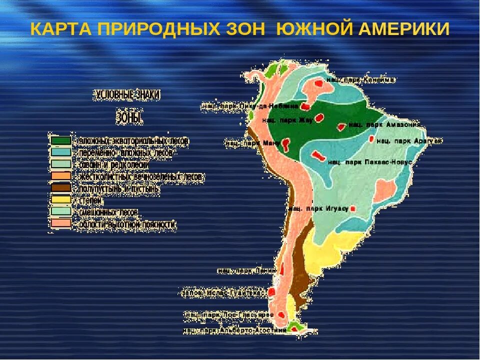 Природные зоны венесуэлы и их особенности. Природные зоны Южной Америки 7. Южная Америка материк с зонами. Карта природных зон Южной Америки. Прир зоны Южной Америки.