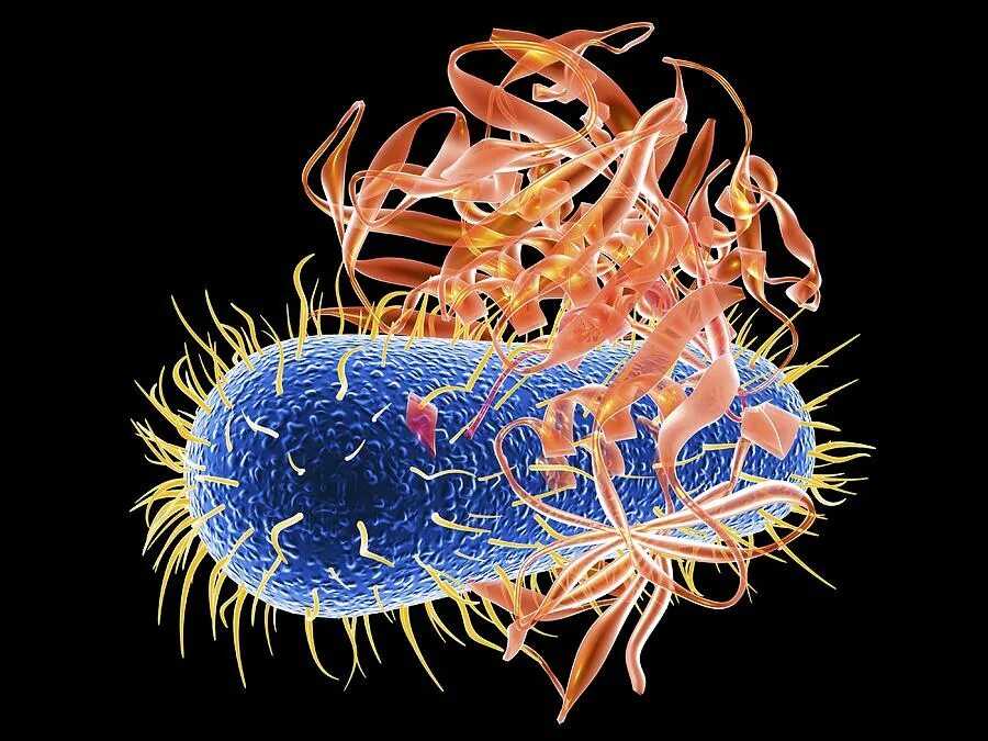Бактерия чужеродная. Бактерии и антибиотики. Микробы. Антибиотики и микроорганизмы. Антибиотики против бактерий.