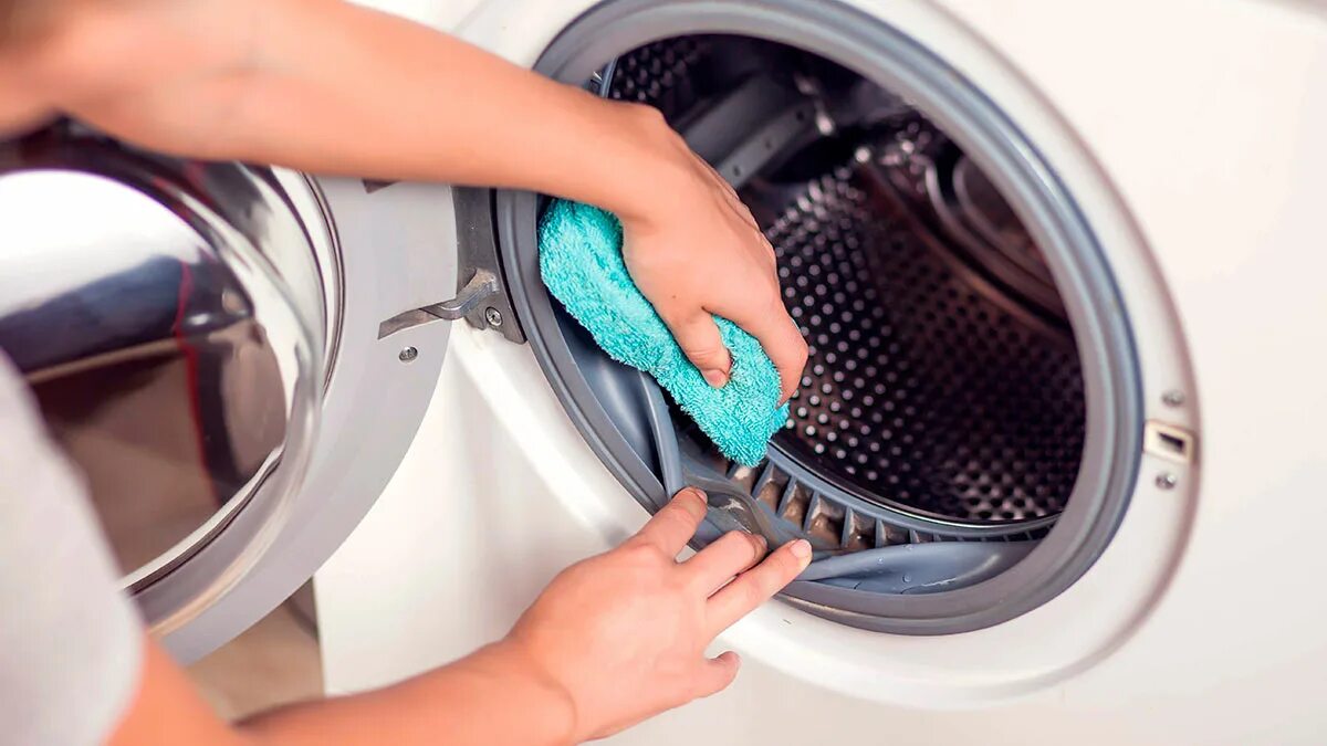 Как избавиться от запаха сырости на одежде