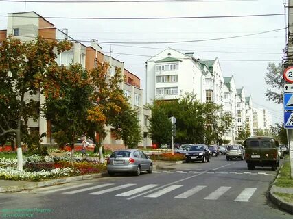 Улицы дома города курска