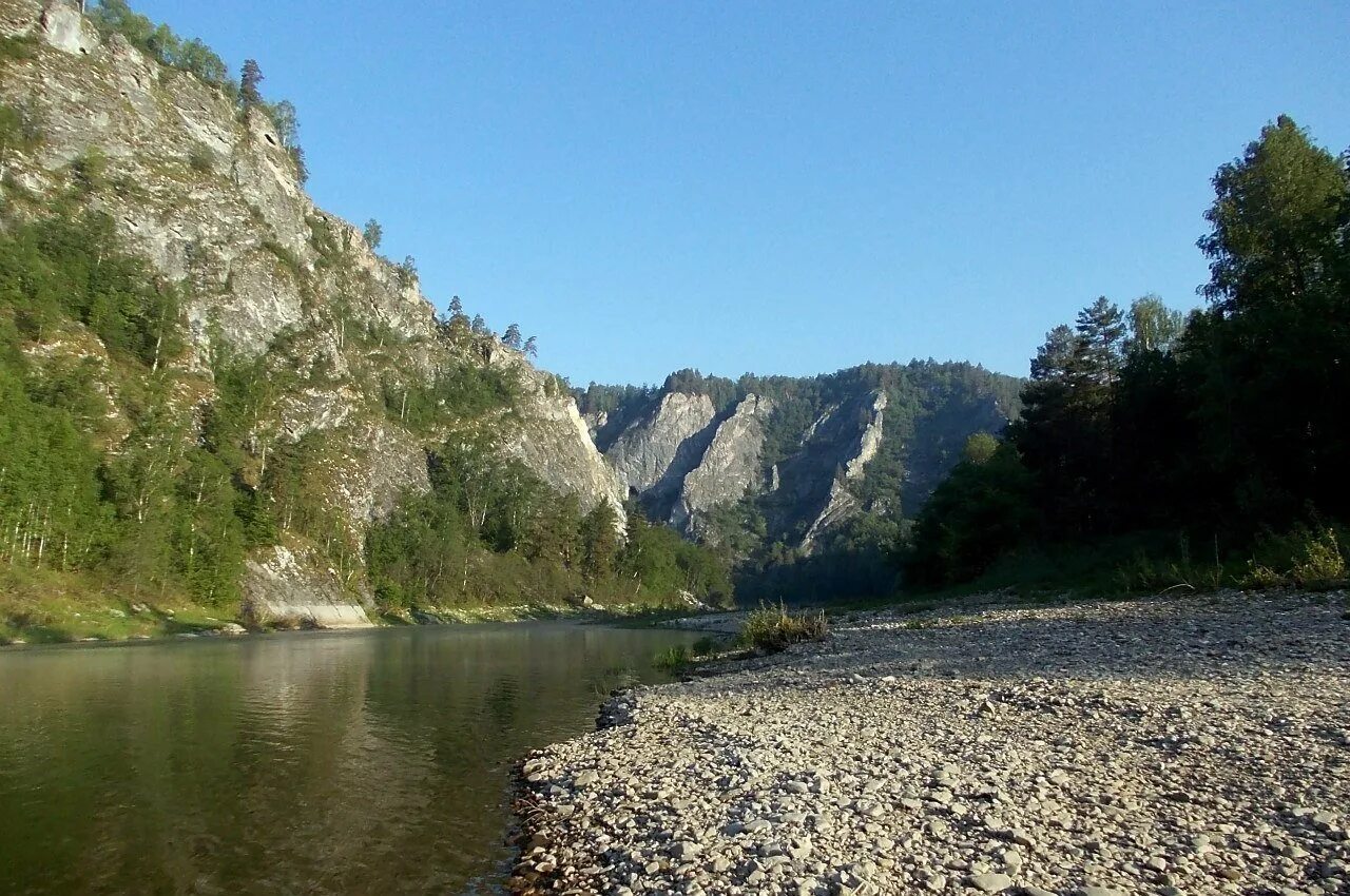 Есть река белая в россии. Река белая Алтайский край Курьинский район. Речка белая Курьинский район. Река белая Курьинский район. Река белая Башкирия сплав.