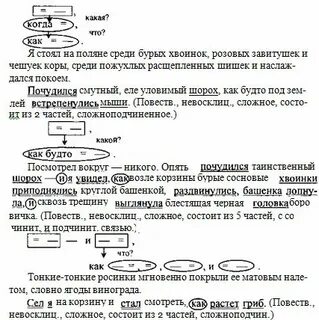 Русский 5 класс упражнение 316