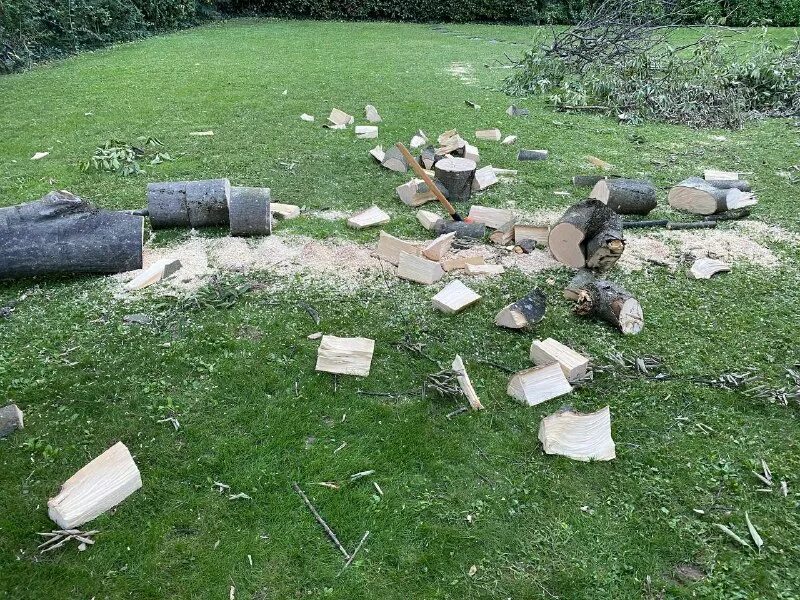 Хроники грядущего телеграмм. Хроники грядущего телеграмм. Хроники грядущего телеграмм. Хроники грядущего телеграмм. Хроники грядущего телеграмм.