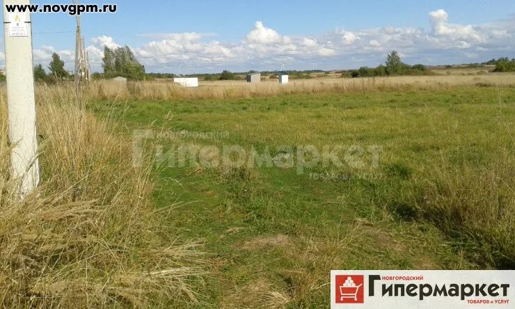 Тюнеж фото. Участок за 100 тысяч. Дачный участок 1 гектар. Деревня перхачево архангельск. Участок за 100 тысяч.