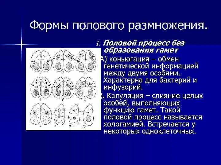 Половое размножение виды образований: найдено 86 картинок