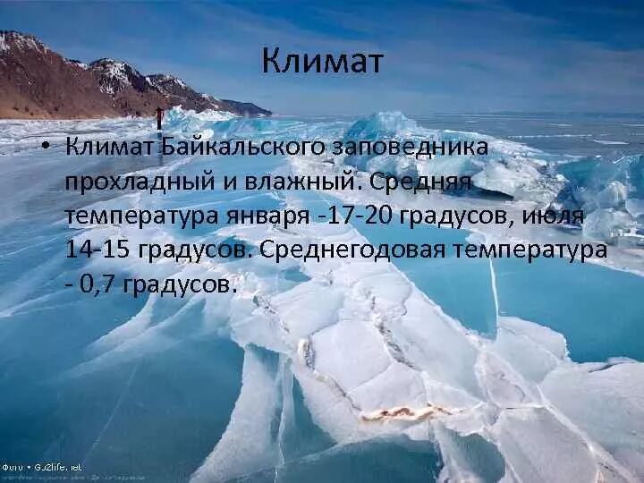 Краткое содержание Байкальского заповедника. Байкальский заповедник климат. Байкальский заповедник сообщение. Байкальский заповедник доклад. Байкальский заповедник информация