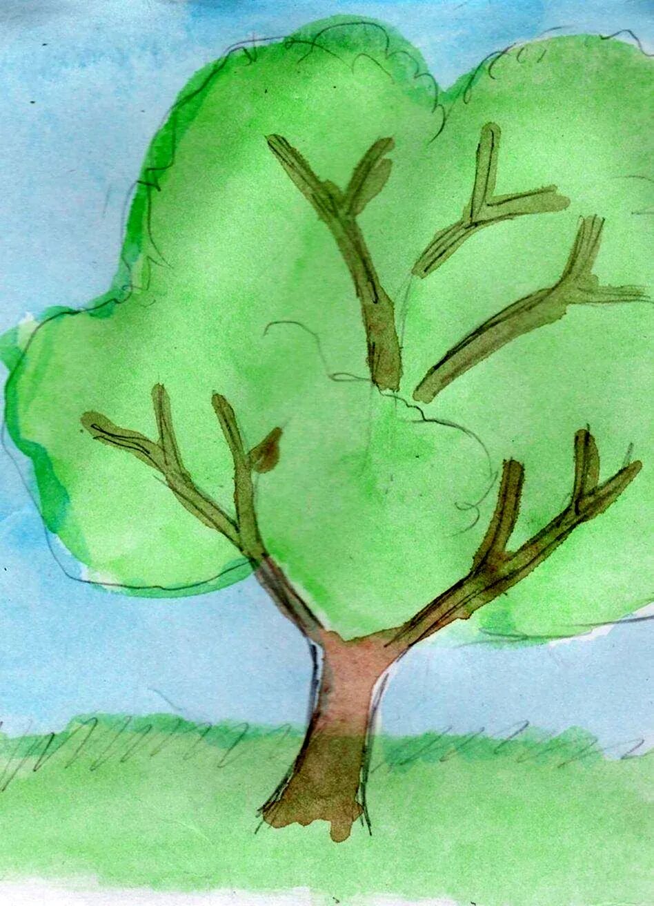 Дерево рисунок карандашом. Пошаговое рисование дерева для детей. Схемы рисования деревьев для дошкольников. Рисунок дерево 5 лет. Рисунок дерево 5 лет.