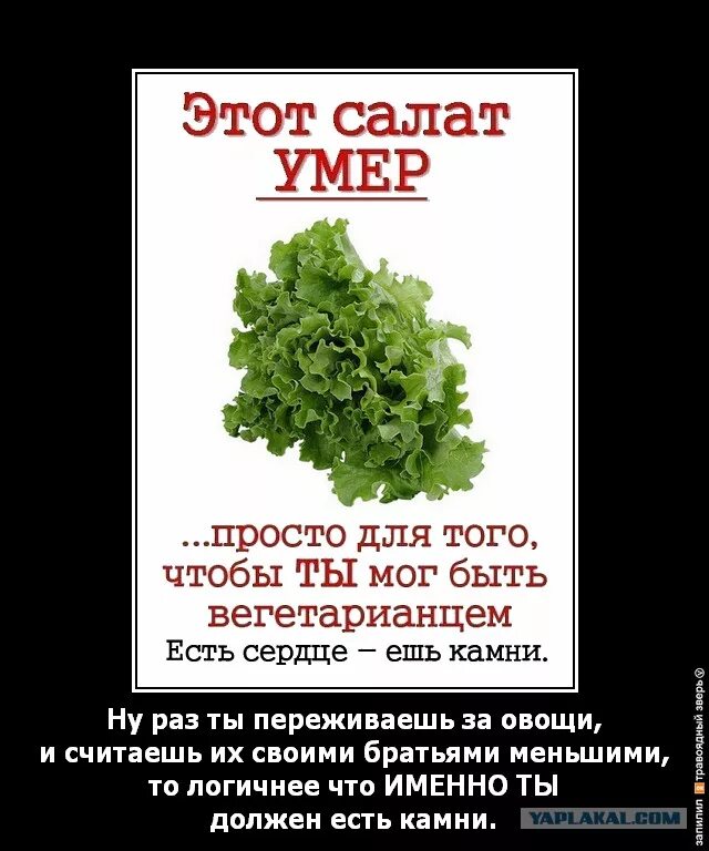 Вегетарианство. Вегетарианцы убивают растения. Есть сердце ешь камни. Вегетарианец прикол. Веган слова