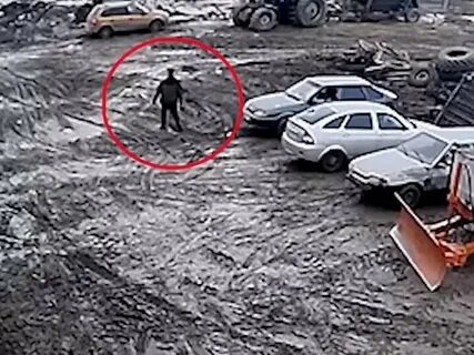 Вагнеры избили