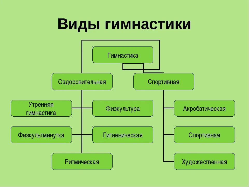 Виды гимнастики. Классификация видов гимнастики. Виды гимнов бывают какие. Традиционные виды гимнастики. В зависимости от направления делятся