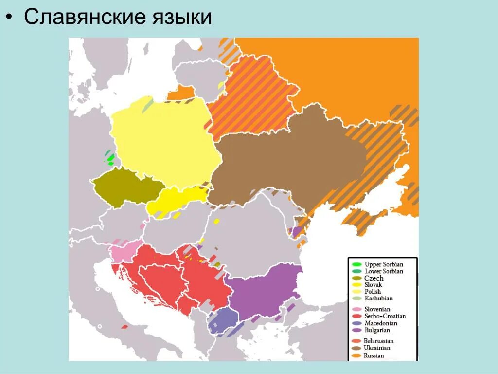 Карта славянских народов современная. Славянские народы и славянские языки. Карта распространения славянских языков. Славянская группа языков на карте. Карта распространения славянских языков.