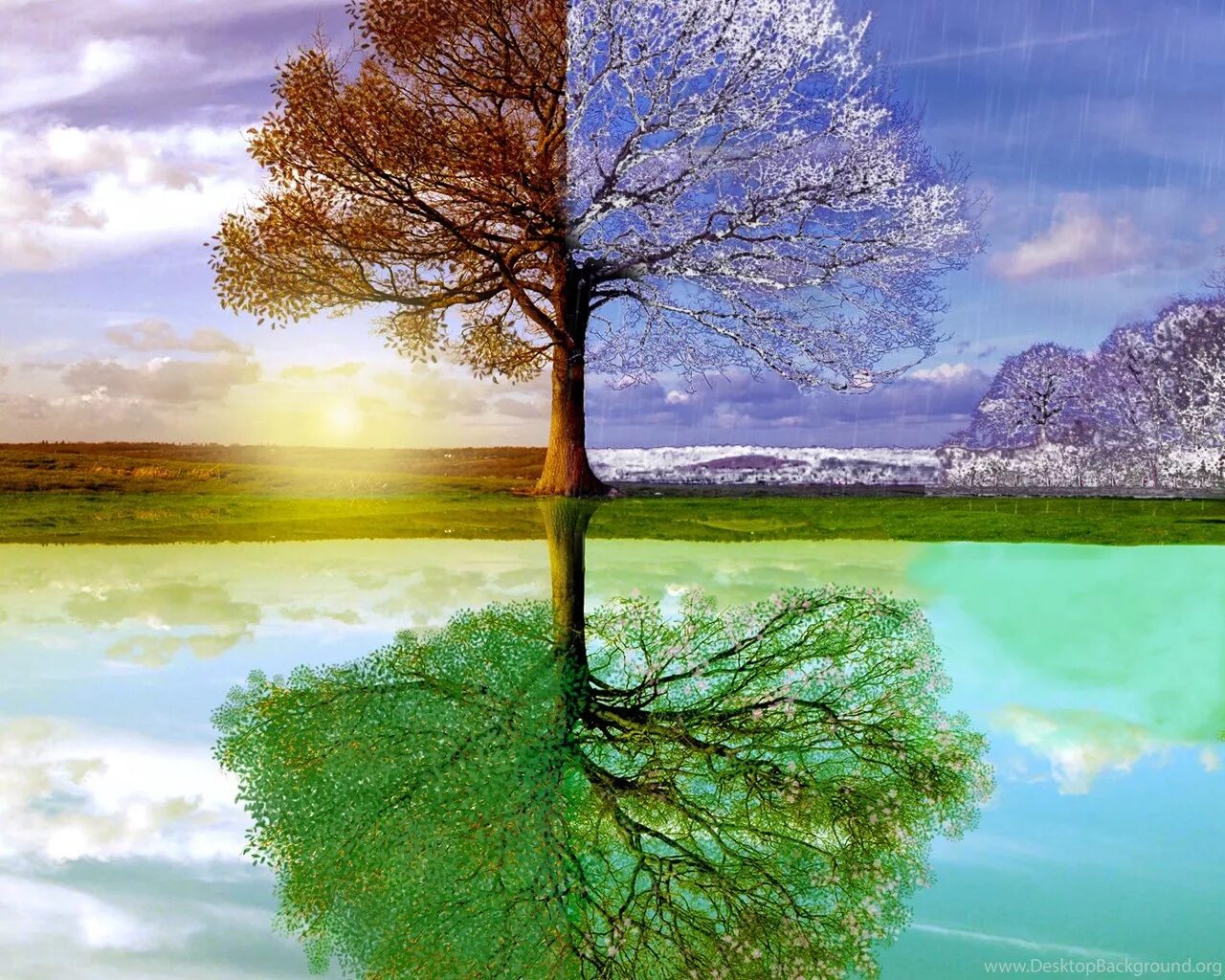 Пейзаж по временам года. Картина времена года. Летнее дерево. Climate seasons
