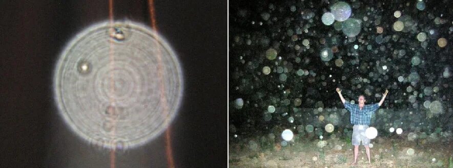 Плазмоиды в квартире как от них избавиться. Плазмоиды на фотографиях в квартире. Орбы плазмоиды зеленые. Орбы плазмоиды призраки. Плазмоиды в квартире как от них избавиться.