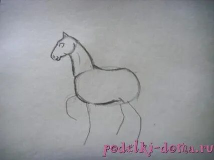Конь 5 класс
