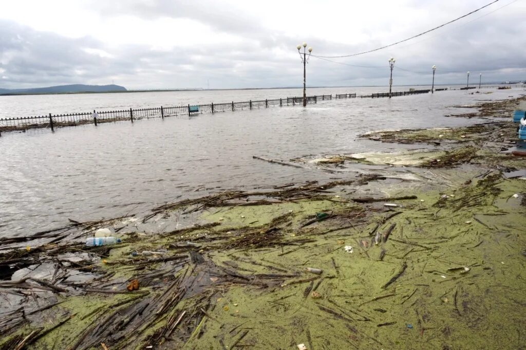 Вода в реке амур. Набережная реки Амур Комсомольск на Амуре. Экология Комсомольска-на-Амуре. Загрязнение реки Амур Хабаровск. Загрязнение реки Амур.