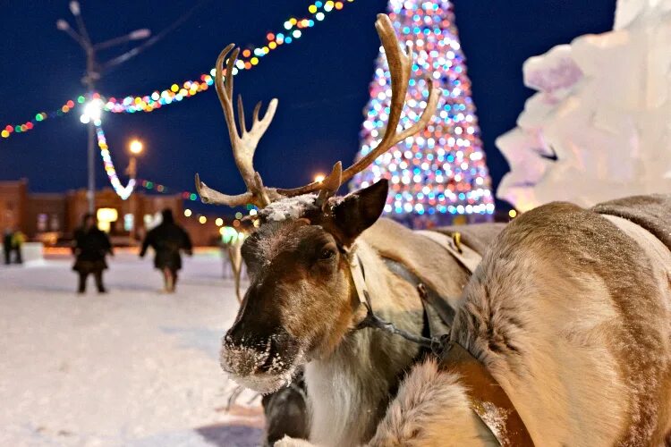 ямал город лабытнанги. город лабытнанги ямало-ненецкий автономный округ. город лабытнанги ямало-ненецкий автономный округ. янао лабытнанги. погода город лабытнанги.