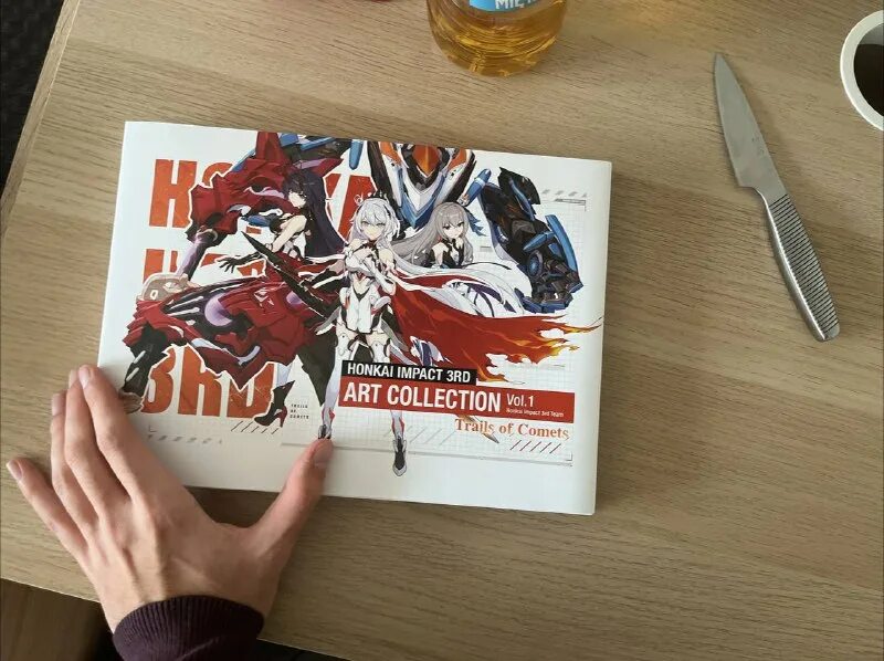 артбук хонкай. Artbook приложение для рисования. мир игры alice madness returns. рисунки хонкай импакт никса. артбук по манге.