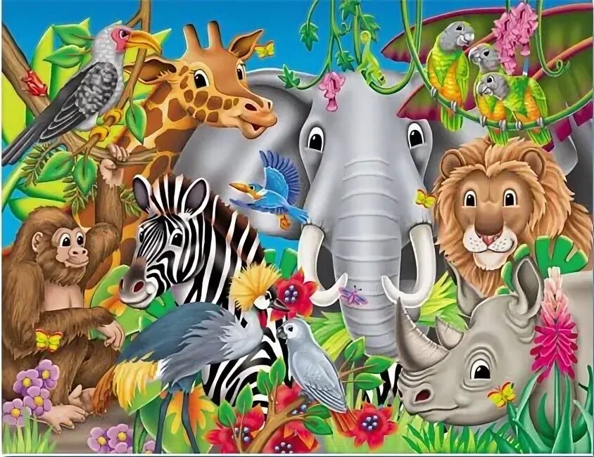 Много животных. В мире животных заставка. New animal world. Мир животных. Животные на п.