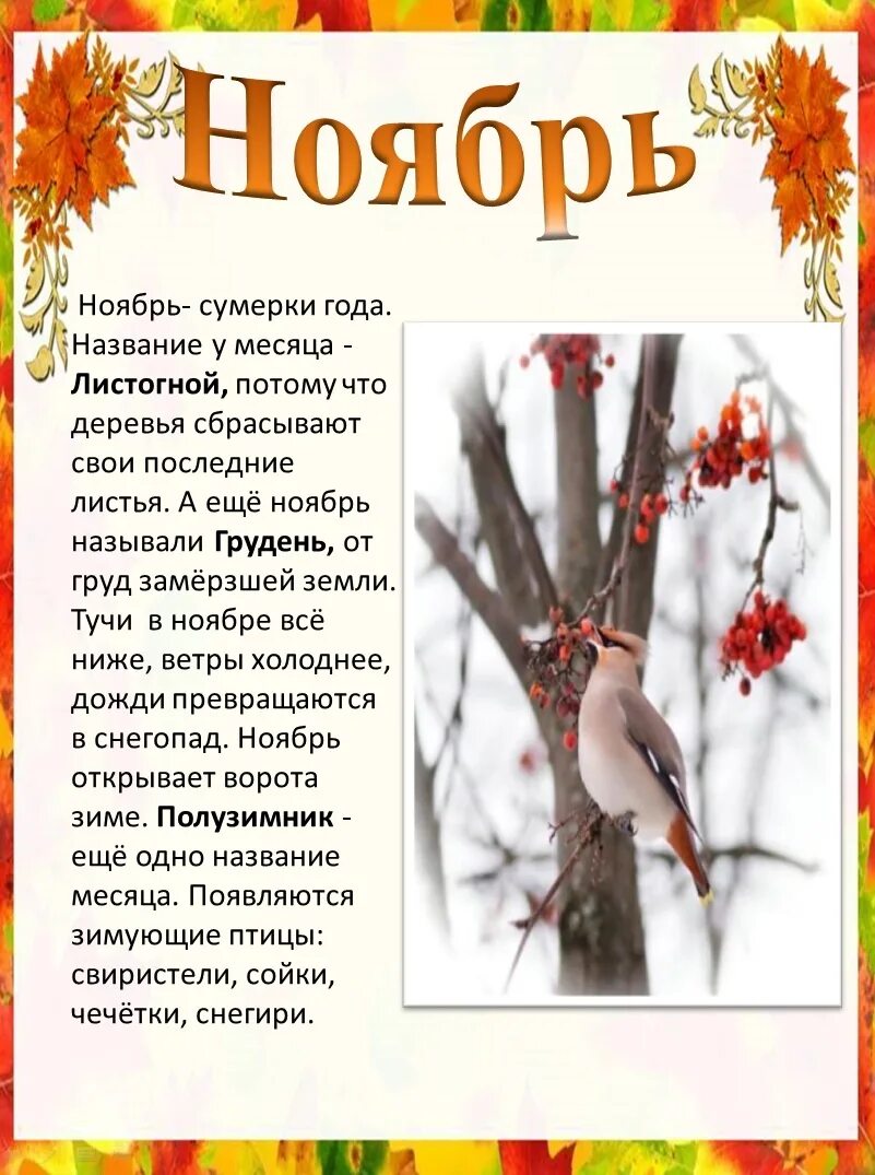 Осенние листья в инее. Ноябрь. Самый хмурый месяц года хочется домой. Ноябрь осенний месяц. Матрёны зимние (зимний день).