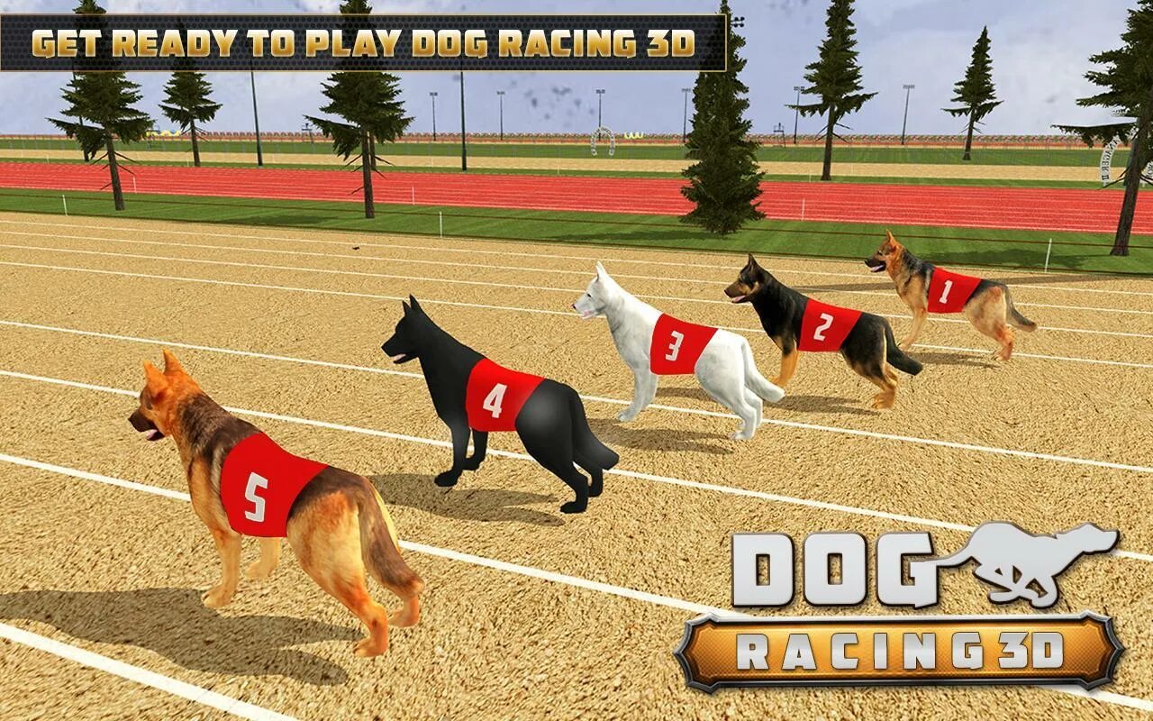 Собачьи гонки. Игра гонки собак. Гонки на собаках. Игра про собачку. Pet racer