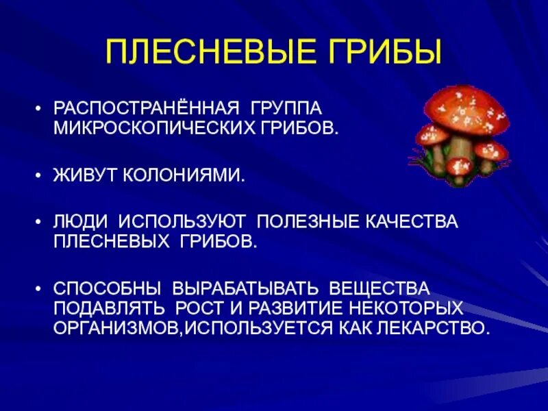 Грибы живут в организме. Подавляет рост микроскопических грибов. Подавляют рост микроскопических грибов следующие вещества. Рост микроскопических грибов. Колония грибов.