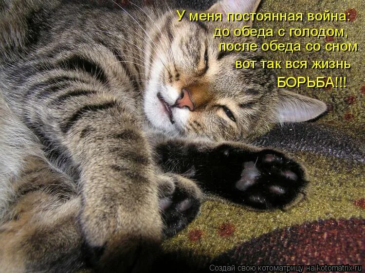 После плотного обеда покурить