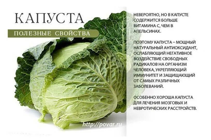 Свойства капустного. Полезные свойства капусты. самая полезная капуста для человека. чем полезна капуста. полезные витамины в капусте.