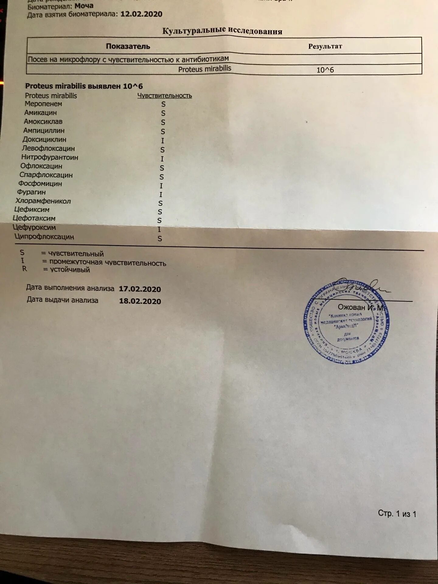 Бак посев на флору и чувствительность к антибиотикам норма. Анализы на бак посев расшифровка. Бак посев собаке. Бак исследование мокроты заключение. Исследование мокроты на чувствительность к антибиотикам.