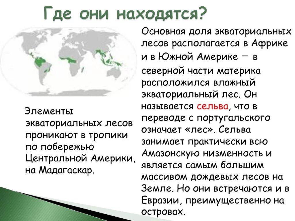 Характеристика переменно влажных лесов. Где расположены влажные экваториальные леса. Где находятся влажные экваториальные леса на карте. Экваториальные леса местоположение. Тропические леса географическое положение.