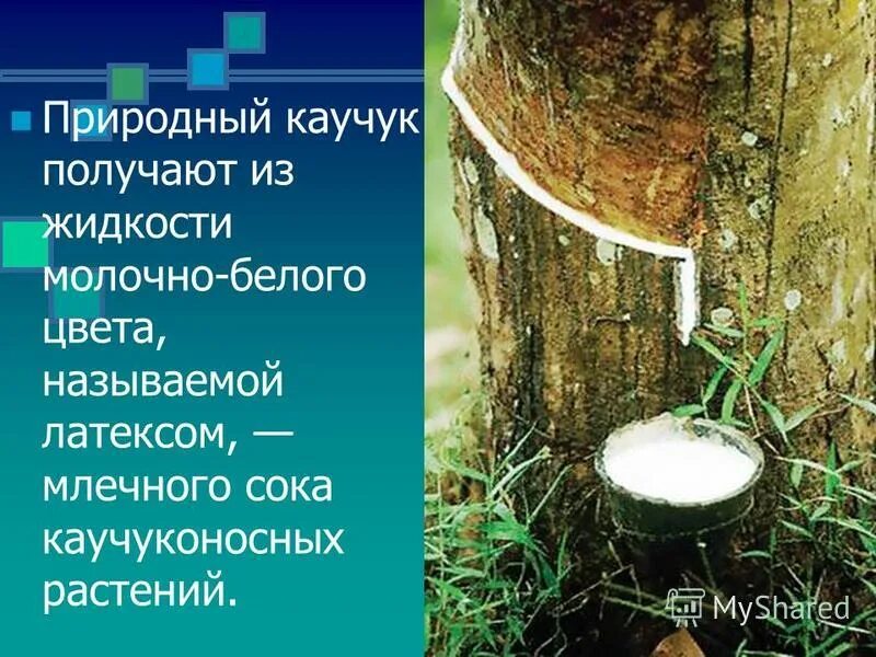 как получить каучук реакция. изопрен. жидкость для получения каучука. жидкость для получения каучука. изопрен структурная.