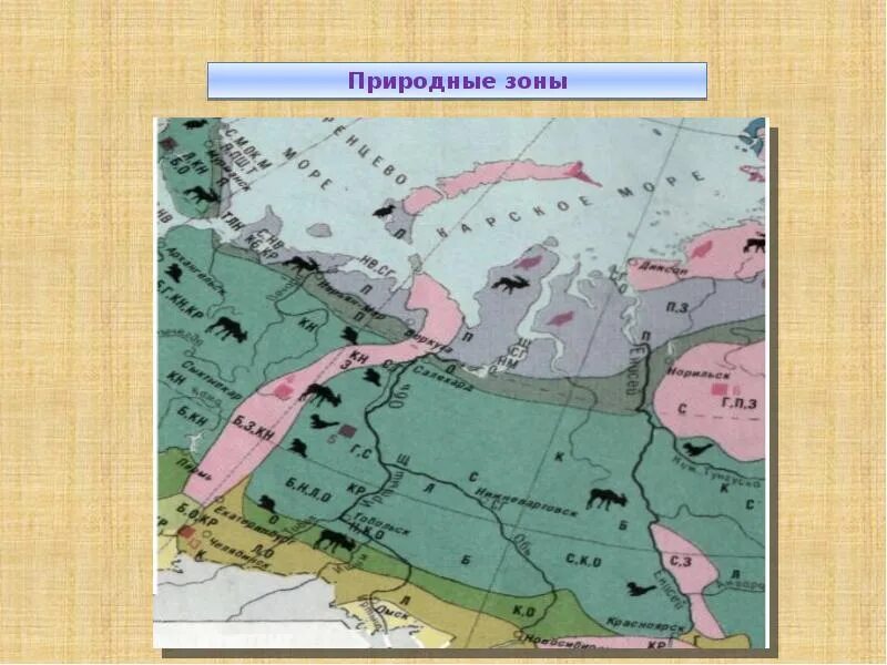 В каких природных зонах расположен нижний новгород. Зоны Западно сибирской равнины. Природные зоны Западной Сибири карта. Природные зоны Западно сибирской равнины на карте. Природные зоны Западно сибирской равнины.