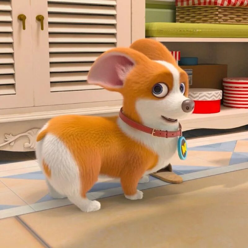 корги по имени моко новый питомец 2020. корги по имени моко новый питомец картинки ямми. королевский корги 2 мультфильм. корги по имени моко новый питомец оригинальное название. корги по имени моко.