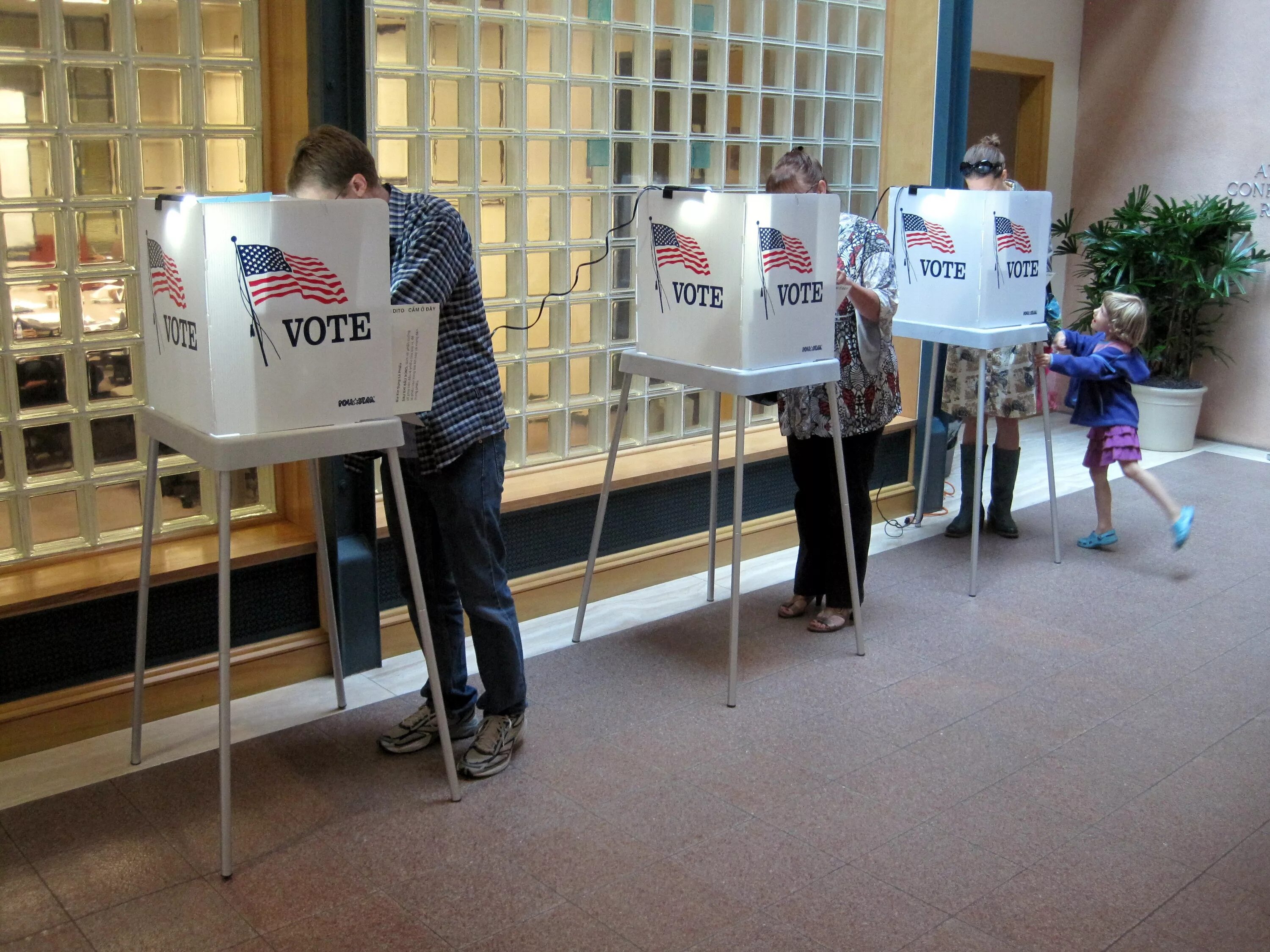 Voting day. Voting Booth. Выборы люди. Peoples votes голосование. To vote.