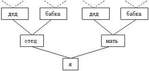 Схема семьи